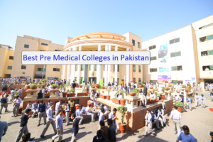 Admission in Intermediate College, Courses, and other major decisions