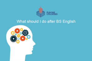 What should I do after BS English?
