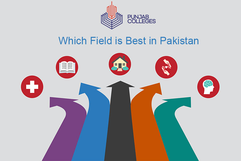 Which Field is Best in Pakistan?