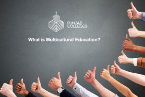 What is Multicultural Education?